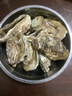 鲜京采 鲜活生蚝3XL 净重7斤 19-26只 生鲜海鲜贝类 源头直发 实拍图