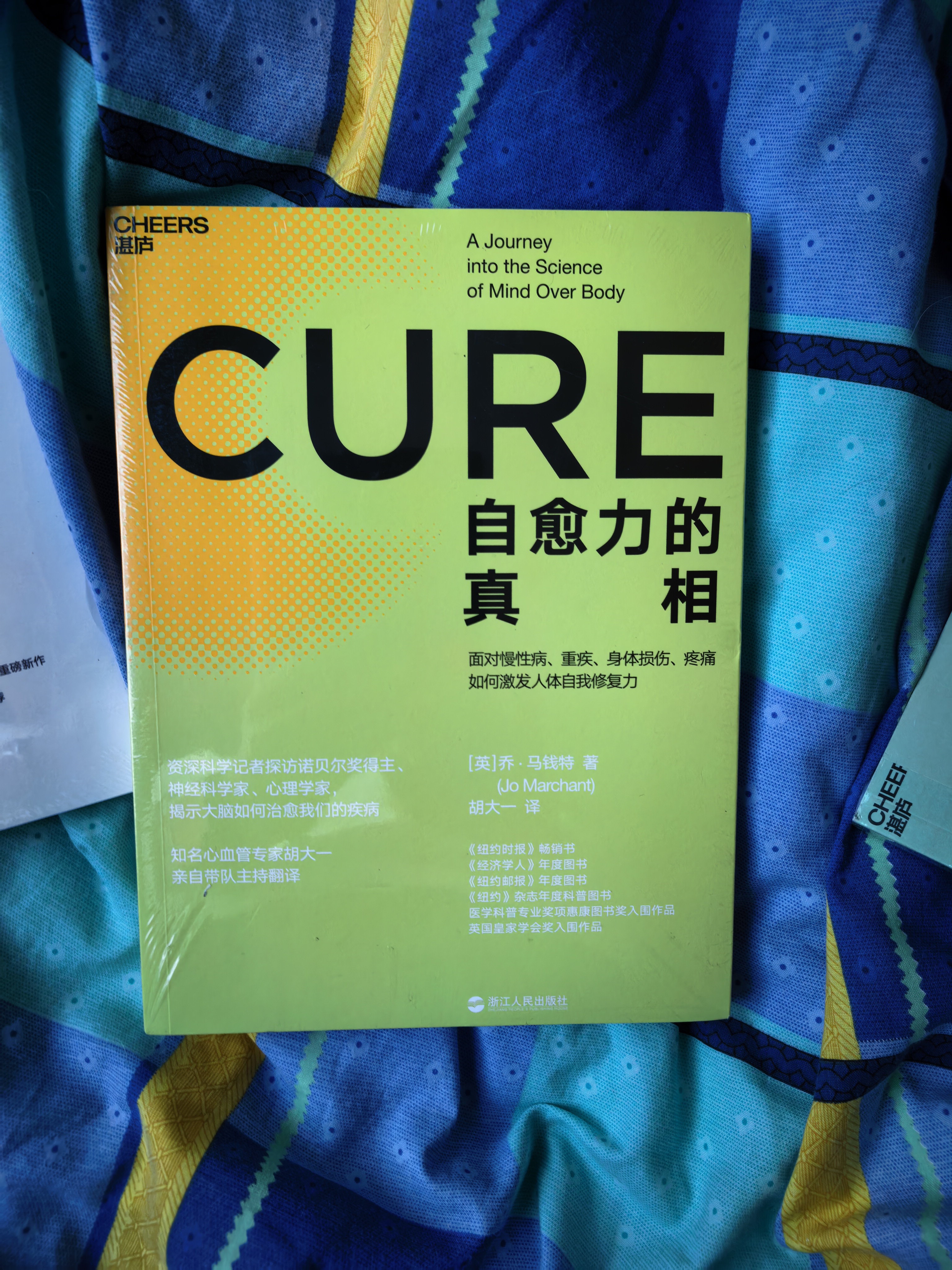 自愈力的真相 心血管专家胡大一翻译揭示大脑如何治愈  图书湛庐 书籍 实拍图