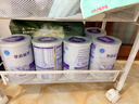 雀巢（Nestle） 早启能恩 特殊配方奶粉 早产低体重婴儿配方奶粉 400g 实拍图