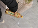黑松油切麦茶 大麦茶饮料 0脂低糖 500ml*15瓶 整箱装热门商品 实拍图