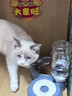 甜浪海猫碗双碗自动喂食器不锈钢狗盆幼猫吃饭喝水防打翻饮水机宠物食盆 实拍图