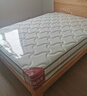 龙凤床垫国家补贴家用乳胶独立弹簧席梦思1.8x2米记忆棉环保椰棕护脊床垫 净享B型23cm：正面硬 1500*2000 实拍图
