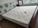海马匠府床垫酒店真空压缩卷包独立弹簧床垫厚席梦思乳胶软硬两用定制 五星酒店客房款：适中约20厚 1.8x2.0米 实拍图