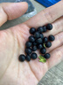 甸禾有机黑豆3斤（东北有机认证 打豆浆专用原材料 五谷杂粮） 实拍图