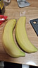 佳农 进口香蕉净重4斤（约10-12根）单根蕉 独立装 生鲜水果 新鲜包邮 实拍图