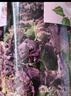 福茗源花草茶 平阴玫瑰干花瓣花茶 食用花瓣玫瑰花瓣泡水喝的花茶30g 实拍图