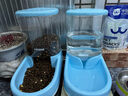 hoopet超大容量宠物自动喂食器猫碗狗盆大型犬狗狗饮水机猫咪喂水投食器 【组合装】饮水器+喂食器 蓝 实拍图