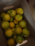 京鲜生 福建永安蜜橘 5斤 单果50g起 橘子/桔子  生鲜水果礼盒 实拍图