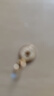 六福珠宝 LUKFOOK JEWELLERY足金铜钱黄金吊坠金饰挂坠不含项链 计价 L01GTBP0010 0.72克(含工费70元) 实拍图