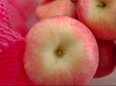 京鲜生 烟台红富士苹果 8粒装 单果160-190g 生鲜水果 实拍图