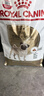 皇家狗粮 巴哥成犬狗粮 犬粮 宠物小型犬 PA29 全价犬粮10月-8岁1.5KG 实拍图