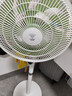 钻石牌（DIAMOND）【一级能效】电风扇家用落地扇直流变频风扇节能电扇摇头空气循环扇大风量客厅卧室轻音立式电扇SN 无极调速款【一级能效丨滚珠轴承丨旋钮调节】 实拍图