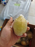 广东香水黄柠檬新鲜柠檬奶茶店专用香水黄柠檬水果产地源头直发 （带箱9斤）香水柠檬黄果单果70g起 实拍图