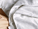 博洋家纺 洛菲白 抑菌100%蚕丝被 春秋被子 220*240cm 实拍图