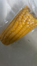 当季新货头茬东北黄甜糯玉米棒真空包装低脂黄糯大棒甜东北黏苞米 黄糯玉米【120-160克】3根 实拍图