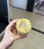 抱抱你 【大棒300g】头茬黄白玉米粘黏甜糯黑玉米棒营养代餐苞米玉米 白糯玉米12根*300g【甜糯杂粮】 实拍图