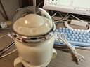 九阳（Joyoung）【政府补贴】婴儿辅食机 小型多功能打泥搅拌机宝宝料理机 0.3L迷你绞馅碎肉机高硼硅玻璃S3-LA121 实拍图