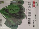 IDEAL理想农业 红根大圆叶菠菜种子蔬菜种籽夏季阳台种菜高出芽率种子 实拍图