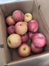 自然搭档 陕西洛川苹果红富士 脆甜苹果生鲜水果礼盒 净重5斤大果（单果85-90mm） 实拍图