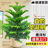 力士(LUX)沐浴露 恒久嫩肤 淡雅香氛 娇肤香氛沐浴乳1000g留香 实拍图