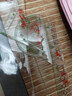晨光(M&G)文具软尺护眼套尺尺子套装小学生考试 4件套（直尺20cm+三角尺*2+量角器）ARL960DU中考高考 实拍图