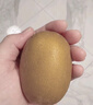 佳沛（zespri）新西兰  阳光金奇异果16粒礼盒经典果单果约 77-103g 水果 猕猴桃 实拍图
