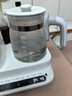 孕贝奶瓶消毒柜 烘干恒温烧水壶温奶器二合一体机热暖奶器婴儿 4.5L 实拍图