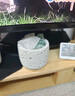 宋朝冷山月下金桂香薰扩香石摆件卧室内香氛小众高级女生日结婚礼物 实拍图