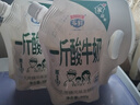 【1斤酸牛奶】多鲜庄园酸奶清新风味发酵乳原味红枣500ml大袋 原味500g*4袋 实拍图