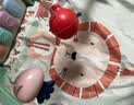 babycare婴儿健身架玩具钢琴0-6个月音乐新生儿礼物蓝牙百日满月儿童礼盒 【蓝牙款】西高地健身架-附赠电池礼盒款 实拍图