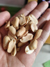 黄飞红（HUANGFEIHONG）五香烤花生410g袋 下酒菜休闲网红零食小吃脱油花生仁坚果炒货 实拍图