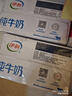 伊利 纯牛奶250ml*21盒 全脂牛奶 优质乳蛋白 礼盒装 实拍图