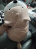名创优品（MINISO）趴姿系大号趣味狗狗公仔毛绒玩偶玩具抱枕布娃娃生日礼物女卡其色 实拍图