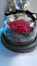 Para Ella永生花玫瑰花生日礼物女送老婆闺蜜实用表白感恩圣诞节高级纪念日 实拍图