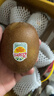 佳沛（zespri）新西兰 阳光金奇异果12粒礼盒特大果单果约122-146g 猕猴桃 水果 实拍图