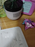 玉兰油（OLAY）透亮润肤面霜50g提拉紧致焕白亮白保湿面霜护肤生日礼物送女友 实拍图