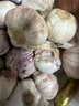 紫白皮蒜水果大蒜超市即食生鲜蔬菜大蒜 特价带箱 1斤 单果3.5-5cm 实拍图