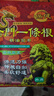 神根金门一条根精油膏药贴布中国台湾原装金牌筋骨膝盖肩周 龙牌8片 实拍图