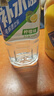 东鹏饮料补水啦【于适同款】电解质饮料555ml*8瓶快速补水多种口味 555ml*8瓶（柠檬味） 实拍图