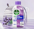 滴露（Dettol）洗衣机清洗剂250mL薰衣草洗衣机深度清洁剂滚筒洗衣机除垢 实拍图