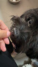 红狗 犬鲨鱼软骨素片100片 狗狗软骨素狗狗软骨素氨糖二型胶原蛋白 实拍图