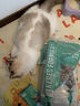 凯锐思英短猫粮专用蓝猫幼猫成猫深海鱼鱼肉猫食天然粮 【经典款】英短4.2斤 实拍图