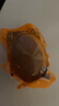 岽鲜活珠子新鲜13天五香香辣味开袋即食毛蛋活珠子鸡胚蛋熟钢化蛋鸡蛋 五香10+香辣10 共20枚800g 实拍图