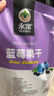 永富蓝莓干250g 独立包装 东北大兴安岭特产办公室健康零食 实拍图