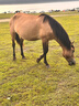 玛莉吉亚（MALIZIA）进口沐浴露男女士持久留香72小时香体冬季保湿嫩肤家庭套装1L*2 实拍图