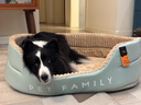 华元宠具（hoopet）狗窝四季通用狗狗床中大型犬睡觉可拆洗宠物睡垫子秋冬季保暖猫窝 实拍图