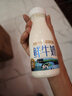 天润（terun）鲜牛奶 巴氏低温新疆纯牛奶全脂早餐鲜奶 烽火台牧场奶源210g/瓶 畅享装8瓶【值！80%选】 实拍图