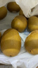佳沛（zespri）佳沛奇异果新西兰进口阳光金果【JD顺丰-送货上门】黄心猕猴桃 【礼盒】16颗 大果约105-120g 实拍图