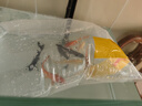 中国红冷水淡水观赏鱼锦鲤鱼活鱼金鱼小型好养红鲤鱼纯种小锦鲤 10-12cm长黑金3条 实拍图