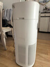 东芝（TOSHIBA）大白梨Pro空气净化器加湿器净化加湿一体机等离子消杀病毒除甲醛过敏源【国家补贴】 大白梨净化加湿杀菌除甲醛一体机 实拍图